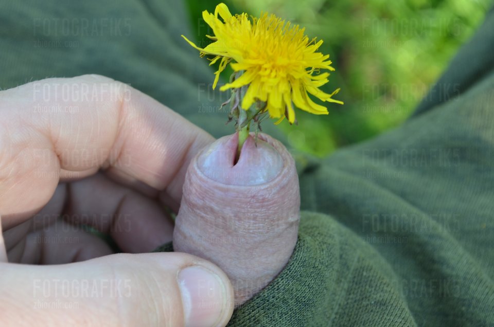 DSC_0010.JPG - fotografik5