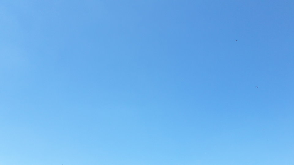 20170518_142253.jpg - AdamBydg123