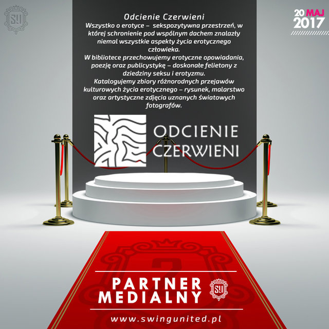 NASI PARTNERZY - SwingUnited