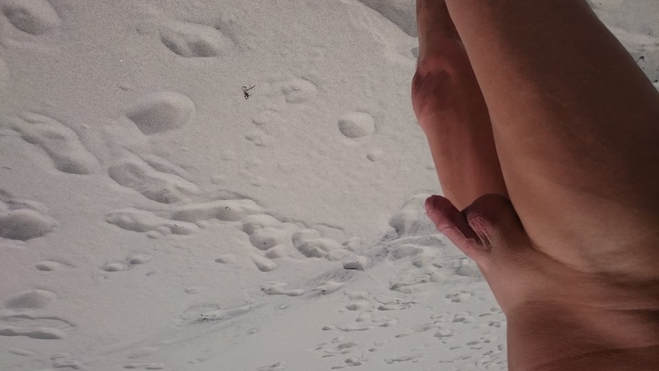 DSC_0021.JPG - derek36