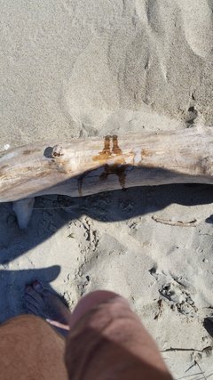 Piaski... Wystrzałowe plażowanie :)