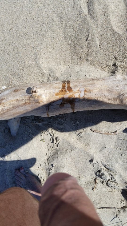 Piaski... Wystrzałowe plażowanie :) - Zawodowiec91