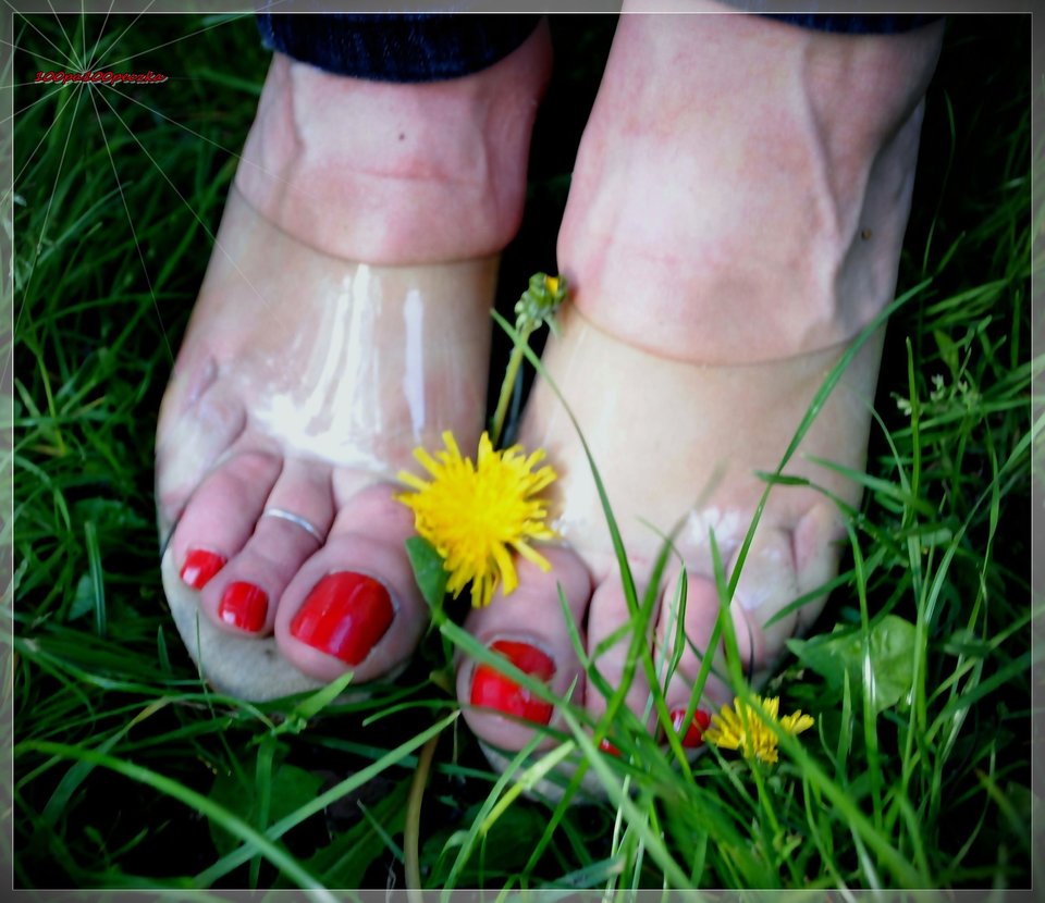 Liquid #81 - 100pa100peczka