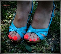 Błękitne Drewniaczki #65