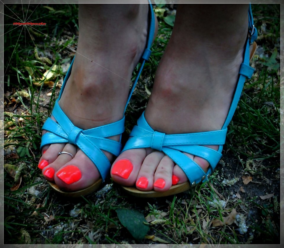 Błękitne Drewniaczki #65 - 100pa100peczka