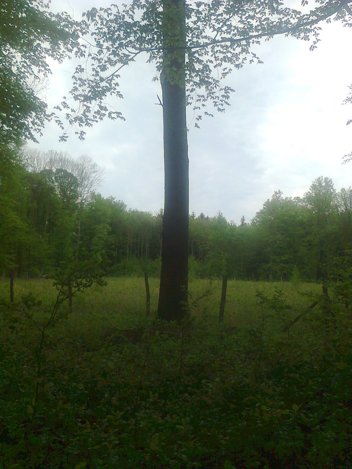 Photo0905.jpg - wrobells