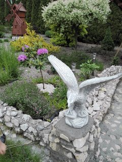 IMG_20170523_182418 (4).jpg