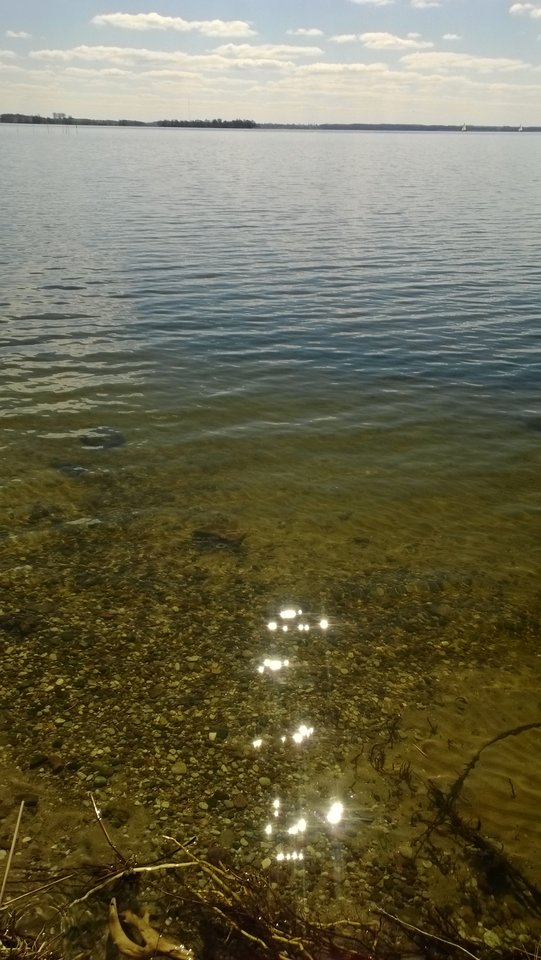 WP_20170420_113.jpg - Ratl