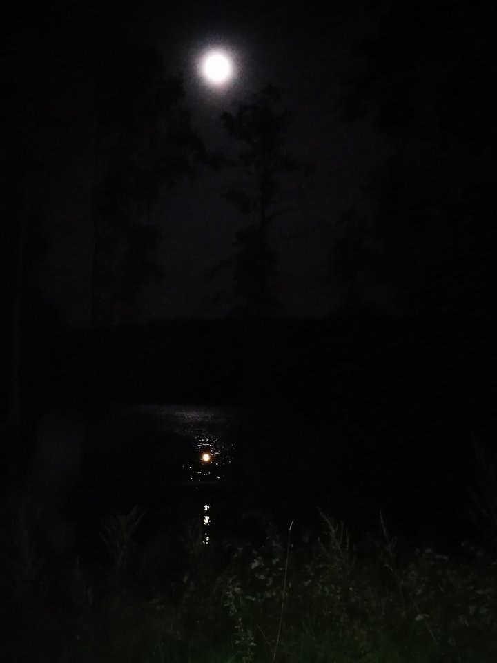 IMG_20160917_224858.jpg - Newashi69