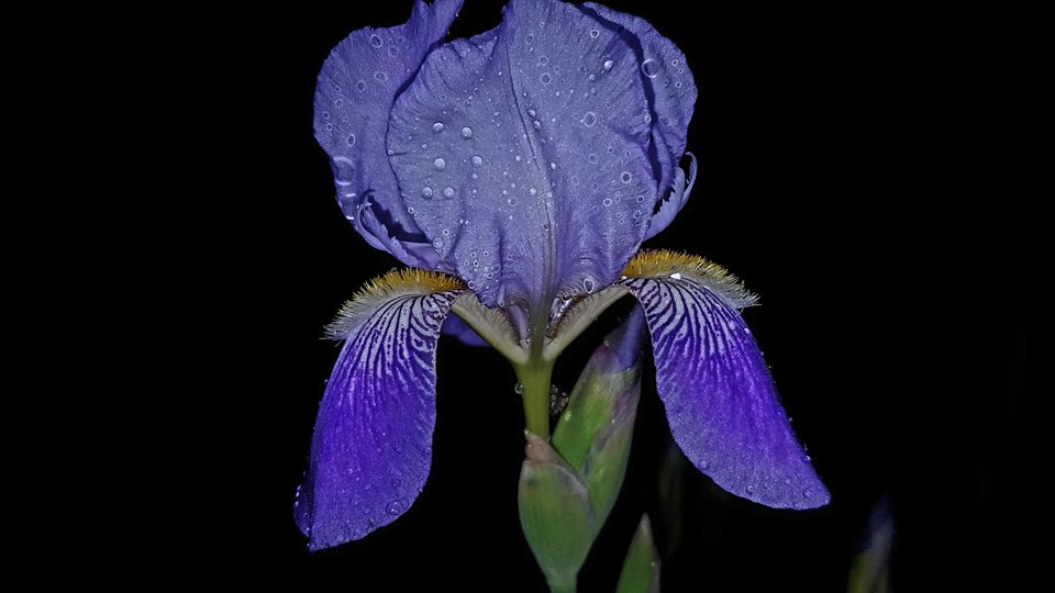 20170526_204059.jpg - destroy