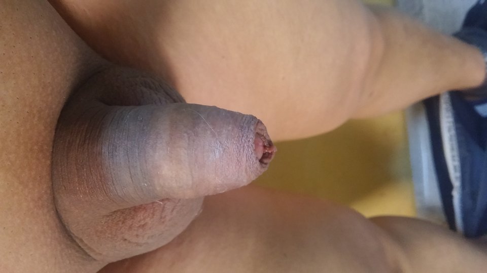 20170526_143224.jpg - nipferd1964