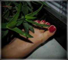 Czerwone Landrynki 150