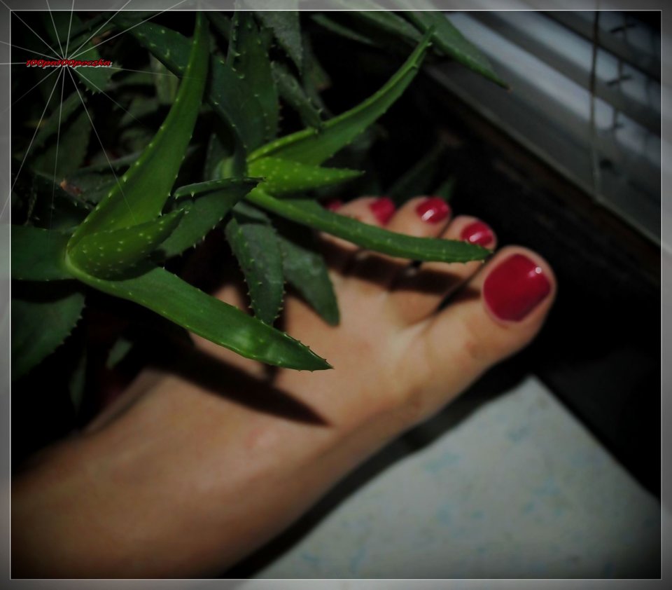 Czerwone Landrynki 150 - 100pa100peczka