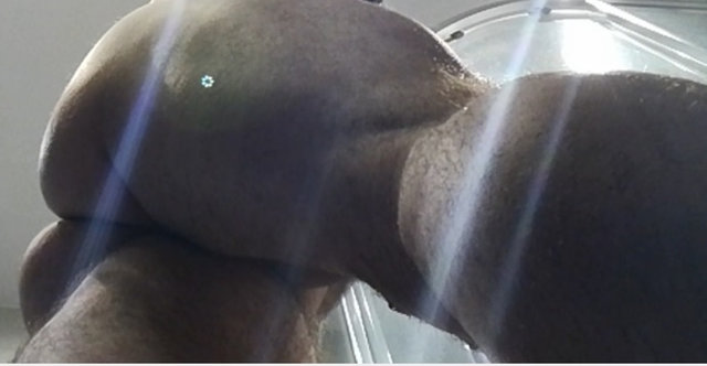 musculine11.jpg - predator7511