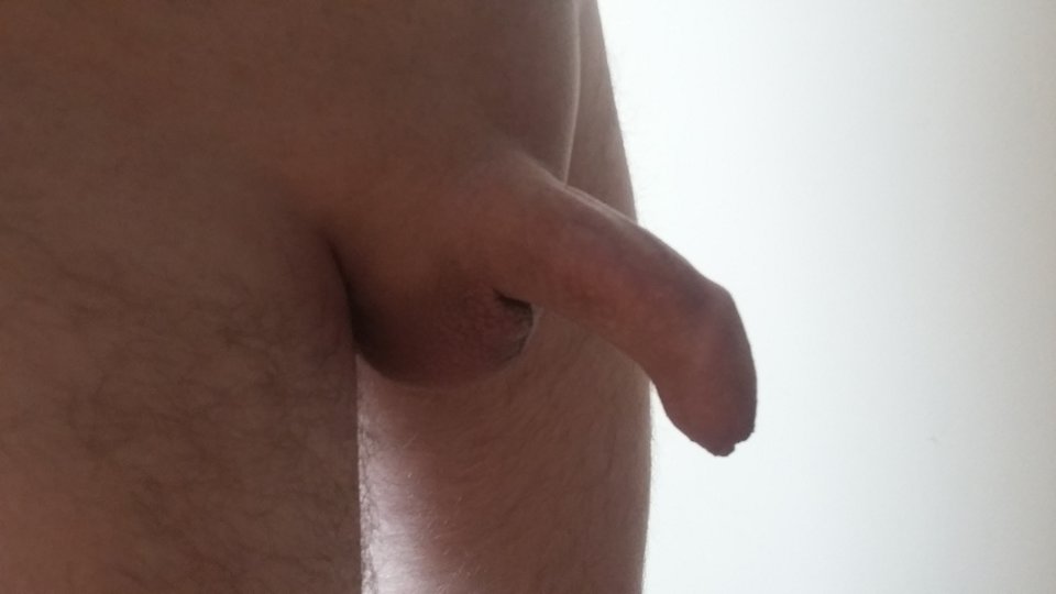 20170604_110519.jpg - maxx7979