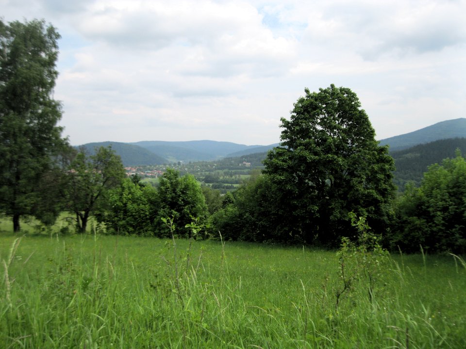 IMG_0180.JPG - pluto64