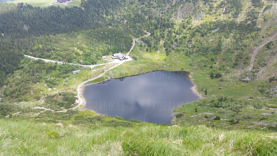 20170605_143708.jpg - Koralik66