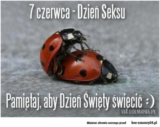 7_czerwca_dzien_seksu_2015-06-07_09-01-34.jpg - PuszystaDlaPuszystegoMisia