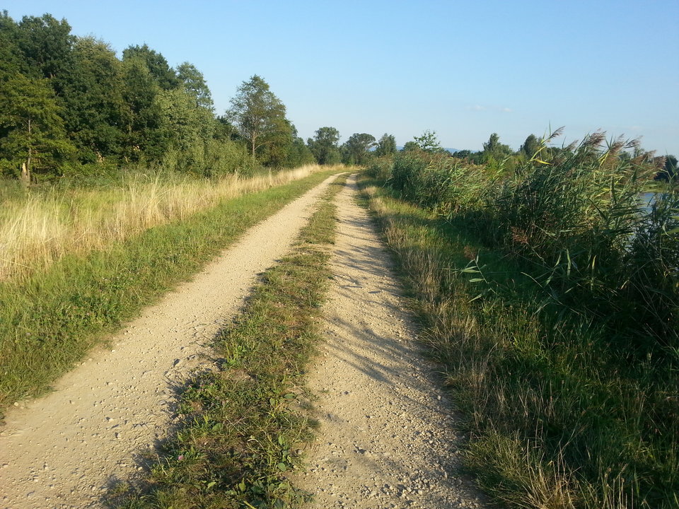 20150821_175827.jpg - mlody1277