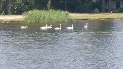 A tak se popitalały😊