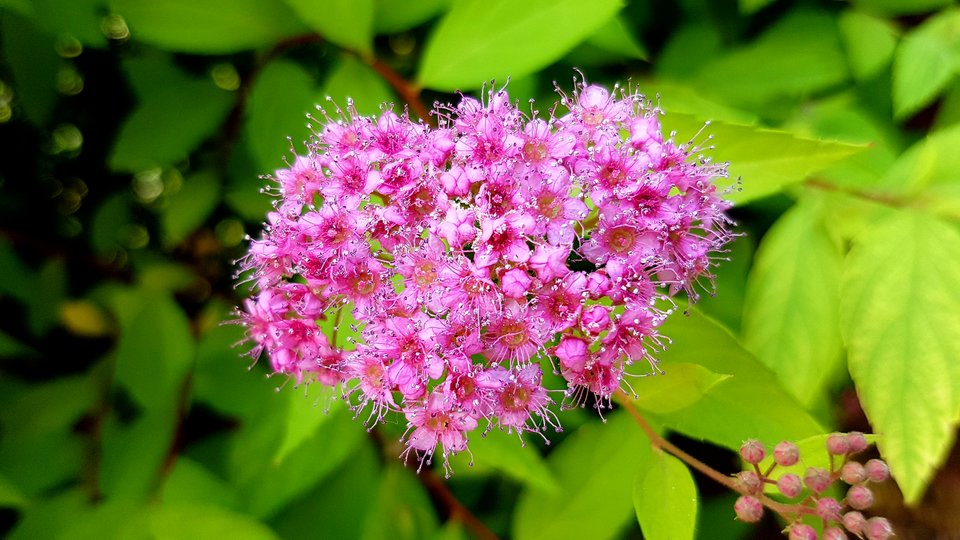 20170610_151608.jpg - destroy