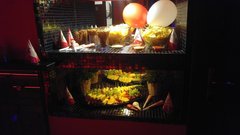 My już gotowi do kibicowania ;-) Zapraszamy od 20:00!