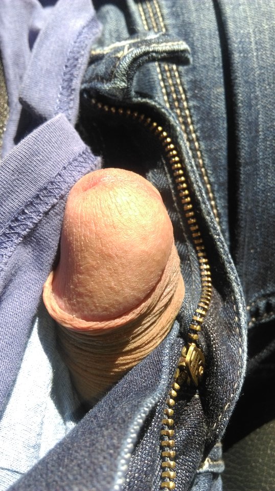 IMAG1598.jpg - swistt