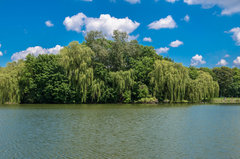 Wyspa nad Zalewem w Nowej Hucie