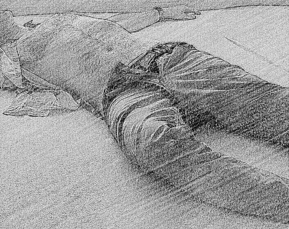 20170614_191027.jpg - gonz7