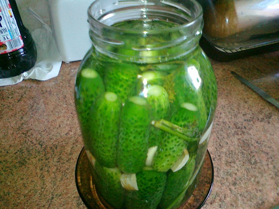 20170615134.jpg - Ponury48bis