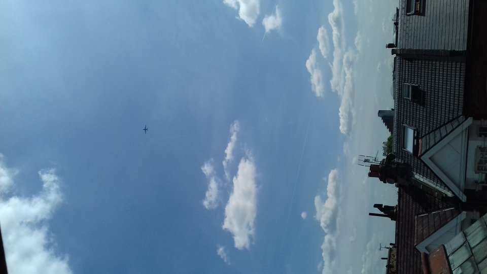 20170524_105847.jpg - Mr_mmmmm