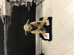 IMG_0143.JPG