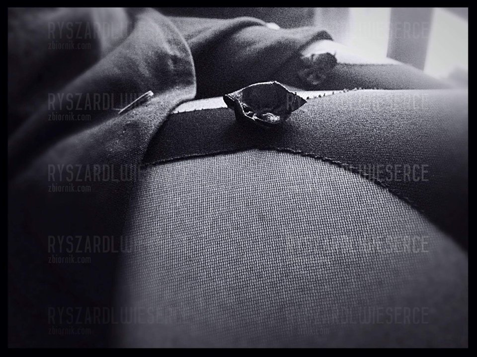 kokardka - ryszardlwieserce