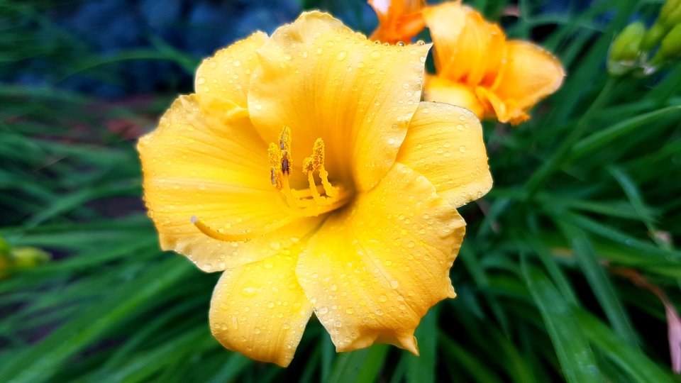 20170617_072948.jpg - destroy