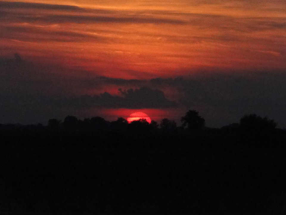 DSC05581.JPG - merkury40