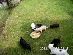 JPEG Image (31619639).jpg