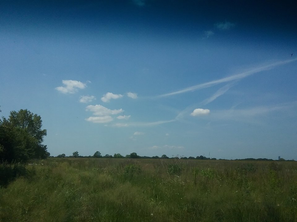 20170620_115659.jpg - Michal3107wroclaw