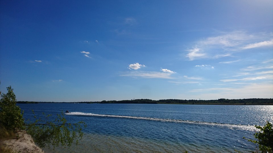 14980580649181218265125.jpg - tygrysek2256