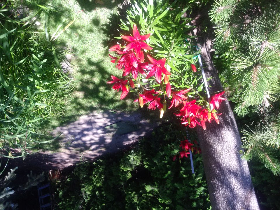 DSC_0046.JPG - dosia2