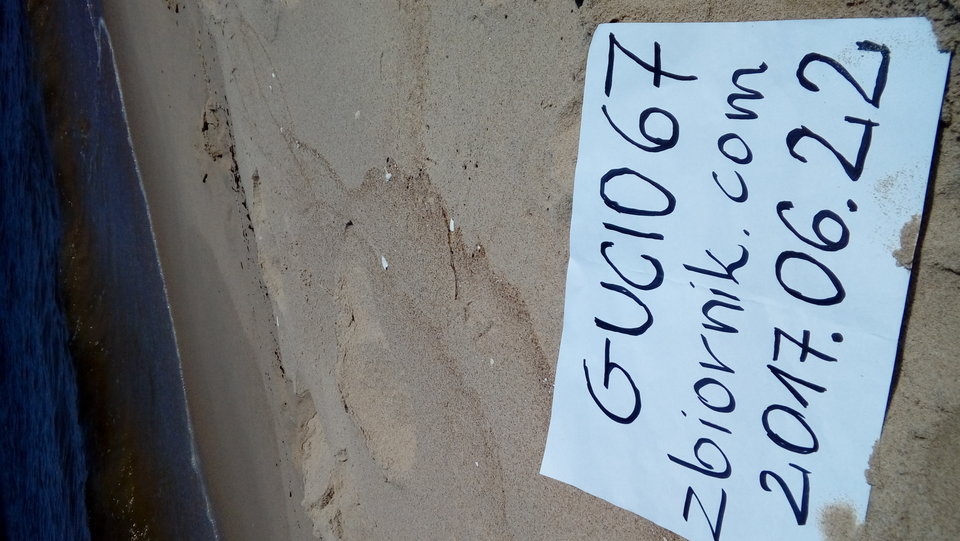 20170622_121552.jpg - gucio67