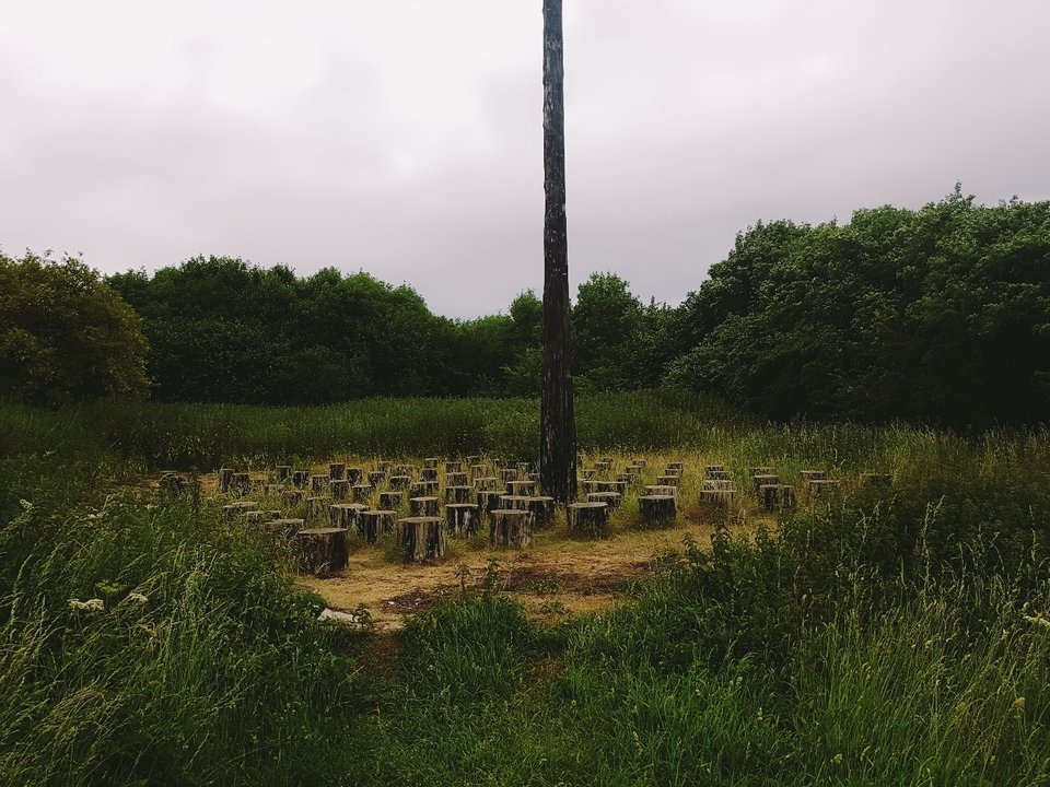 1498219529777449429487.jpg - Danno