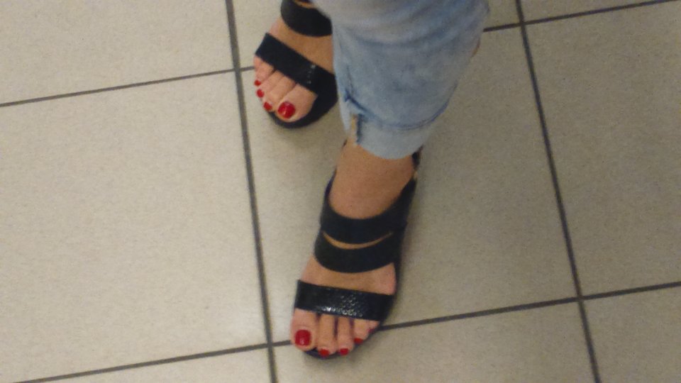 DSC_0099.JPG - HASKI1