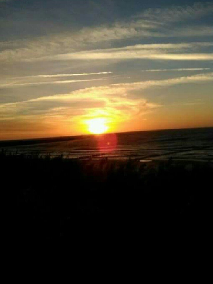 🔆🔆🔆 - Mirabelka37