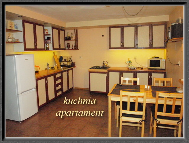 kuchnia parter.JPG - Nastroje3