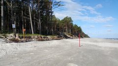 20170625_075529.jpg