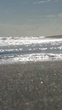 20170625_074505.jpg