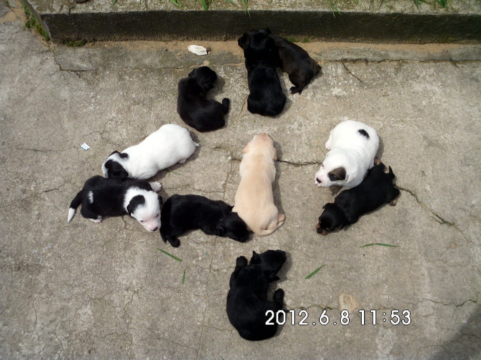 DSCI2227.JPG - krakusek55