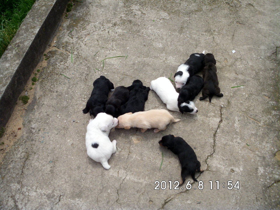 DSCI2231.JPG - krakusek55