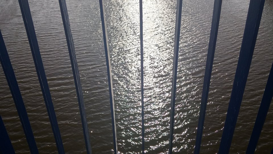 20170625_172436_HDR.jpg - grist