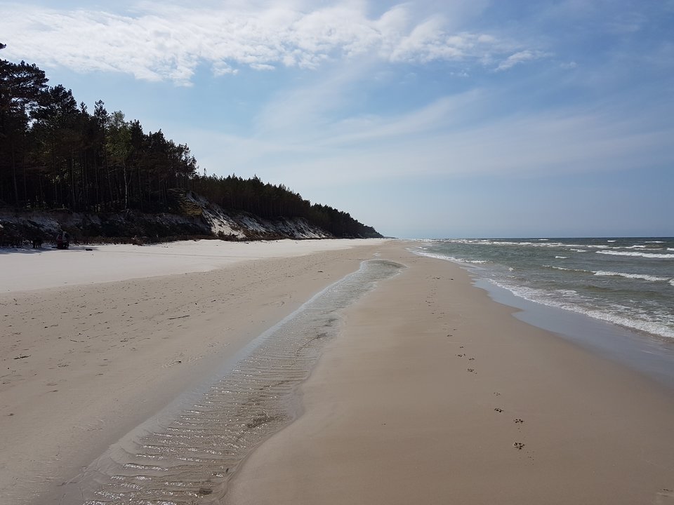 20170521_141500.jpg - strayk